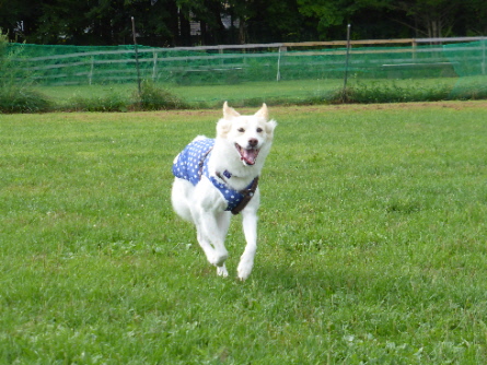 f0046854_2149097.jpg