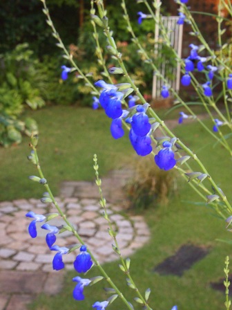 b0246758_11260572.jpg