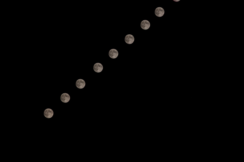 a0314571_1742630.jpg