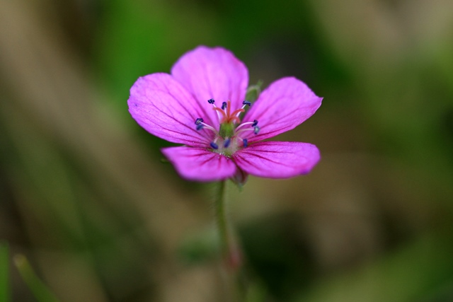 d0126577_22153878.jpg