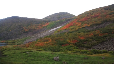 e0210380_2247066.jpg