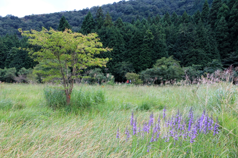 e0024081_20461465.jpg