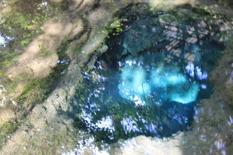 e0024081_20513646.jpg