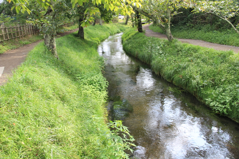 e0024081_20515919.jpg