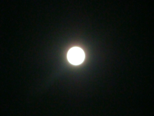 e0215081_11491164.jpg
