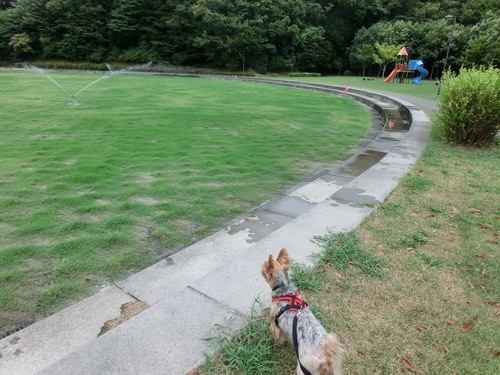 e0123587_21385366.jpg