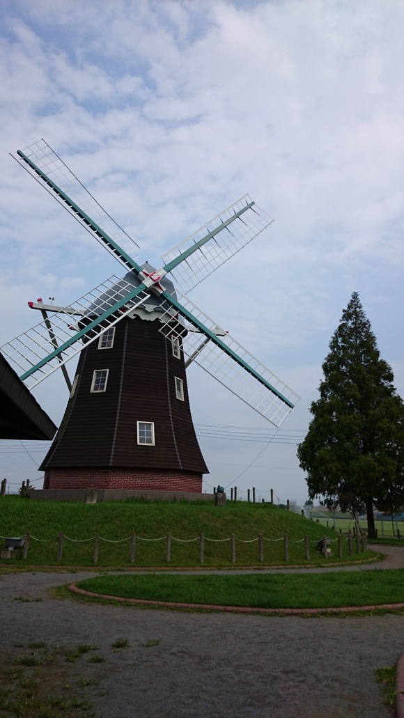 a0282294_1653199.jpg