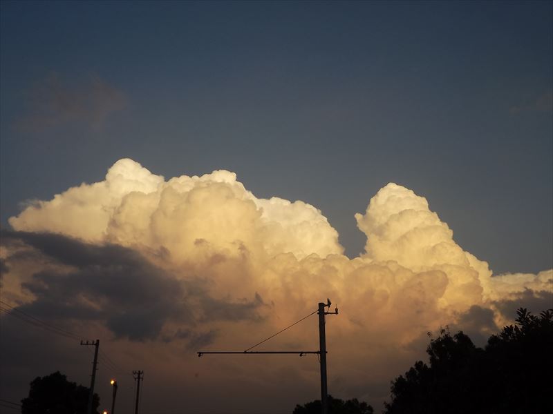 c0108198_19541629.jpg