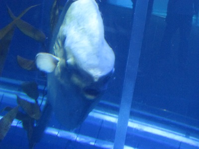 c0074000_229317.jpg
