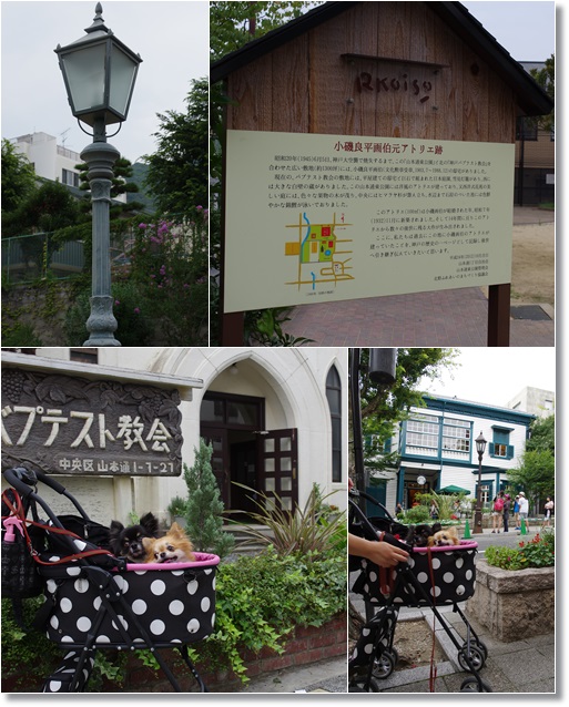 f0185804_19541050.jpg