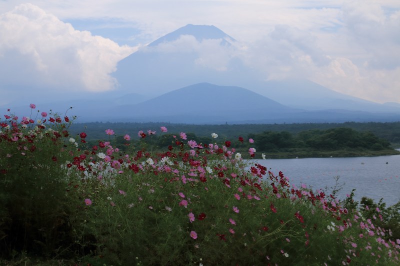 a0188405_19501589.jpg