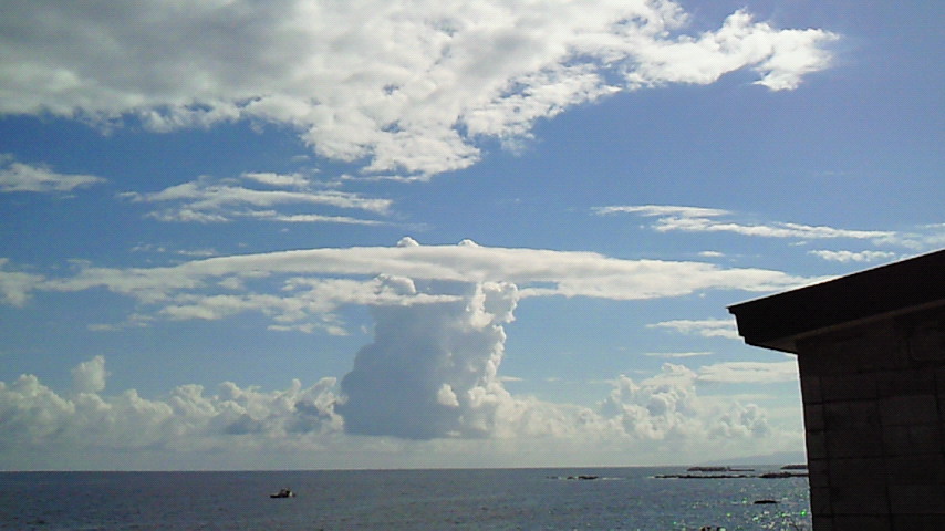 d0149105_9563131.jpg