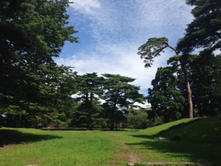 d0007913_1754814.jpg