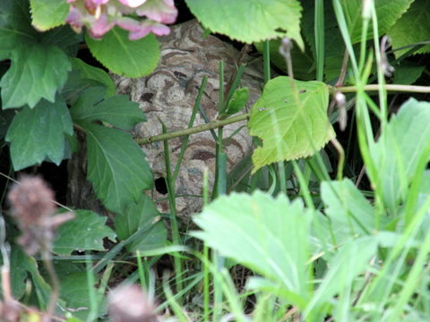 d0072917_20182947.png