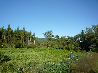 c0189218_8402878.jpg