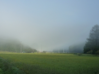 c0189218_8405691.jpg