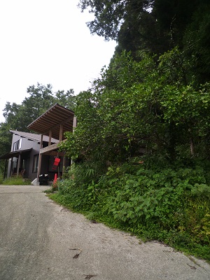 f0031420_8455955.jpg
