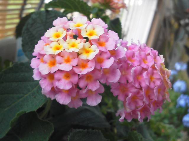 a0268821_22430762.jpg