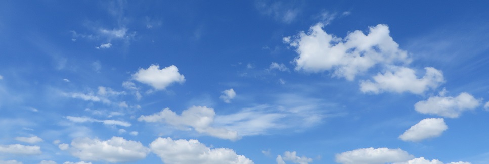 c0280322_20080913.jpg