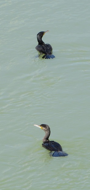c0280322_23334541.jpg