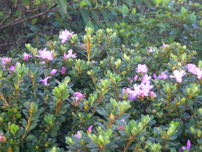 e0272335_10582641.jpg