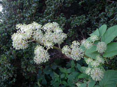 e0272335_11324666.jpg
