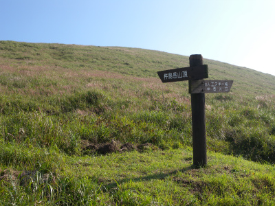 e0272335_12424098.jpg