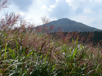 e0272335_1316694.jpg