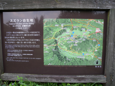e0272335_1346827.jpg