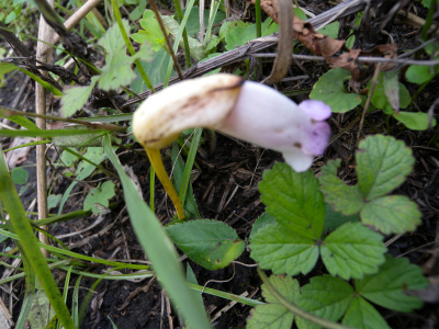 e0272335_141795.jpg