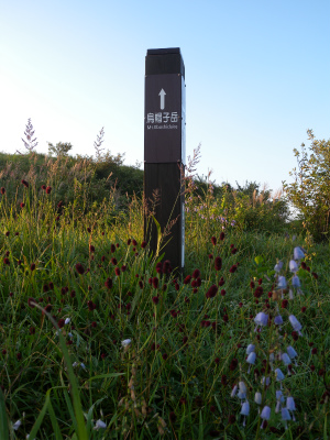 e0272335_8104736.jpg