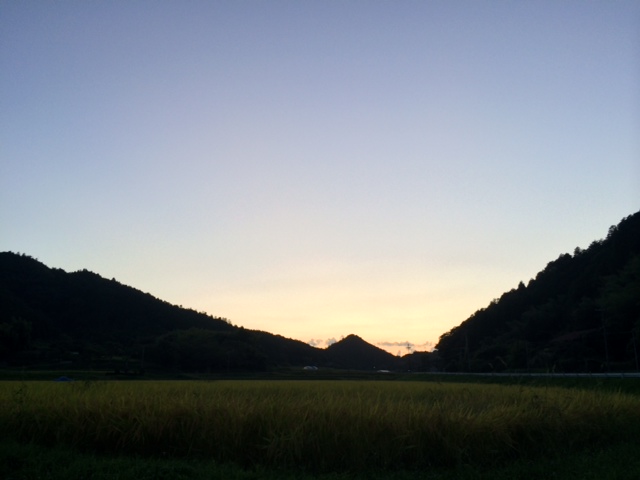 f0342542_01402692.jpg
