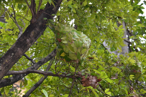 e0020945_18261017.jpg
