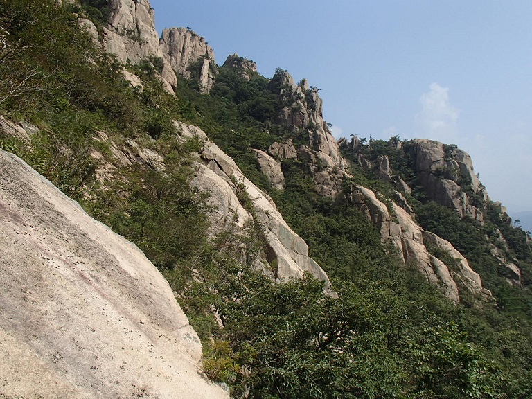 d0007657_18313421.jpg