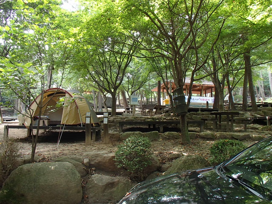 d0007657_18394497.jpg
