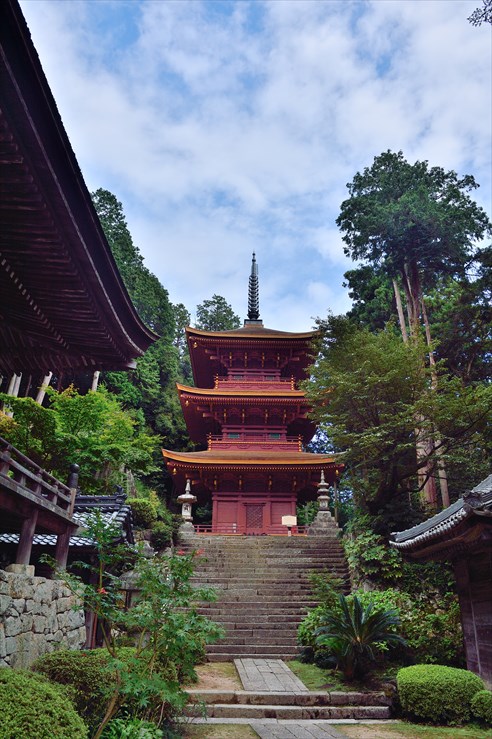 e0170058_1850923.jpg