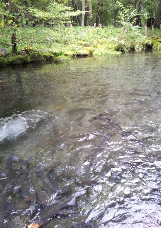b0304662_21053947.jpg