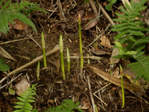 e0292172_21163036.jpg