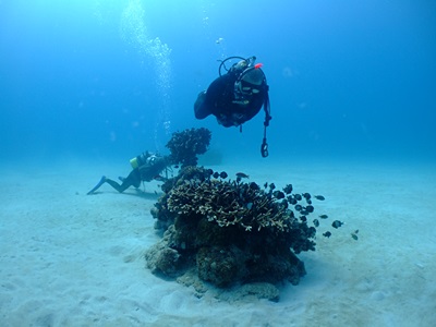 b0033573_21563704.jpg