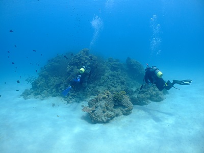 b0033573_21570394.jpg