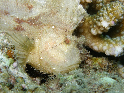 b0033573_21572574.jpg