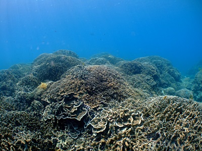b0033573_21573941.jpg