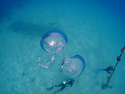 b0033573_21575715.jpg