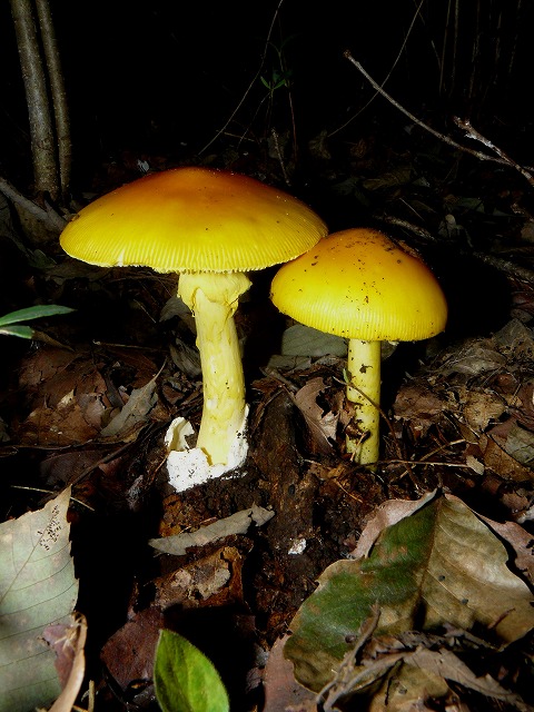 d0019074_3145822.jpg