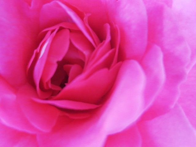 a0317576_17305179.jpg