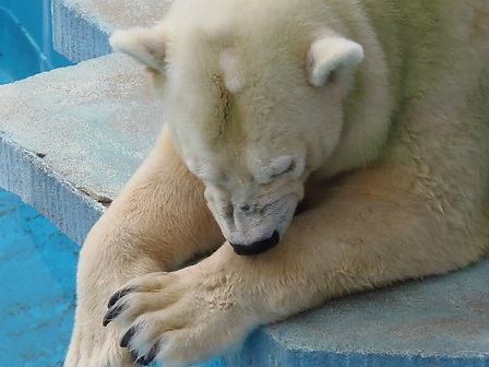 f0297893_1422215.jpg