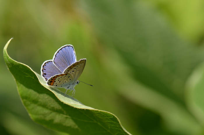 a0277496_20282342.jpg