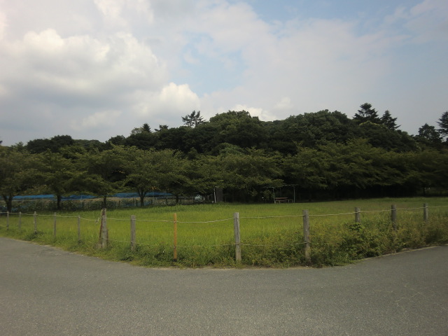 b0044296_22582796.jpg