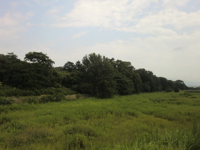 b0044296_230192.jpg