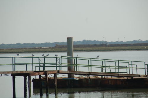 e0061699_08283133.jpg